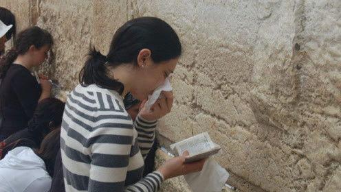 娱乐吃瓜君哥哥免费阅读